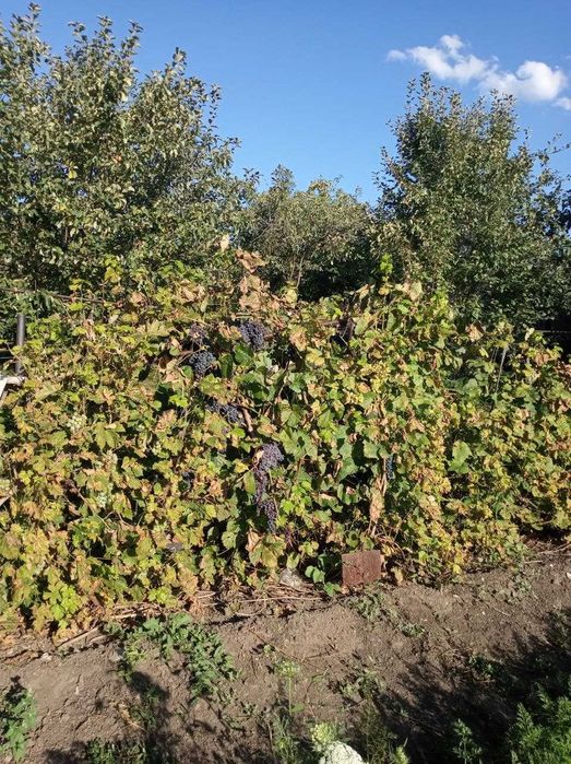 Продам дачу в районе 18 школы