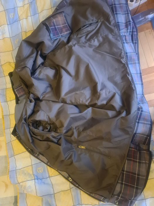 Semipalton Barbour