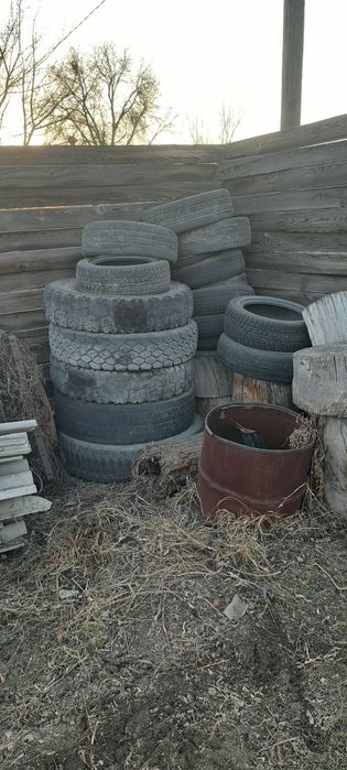 Отдам дрова и колеса даром самовынос