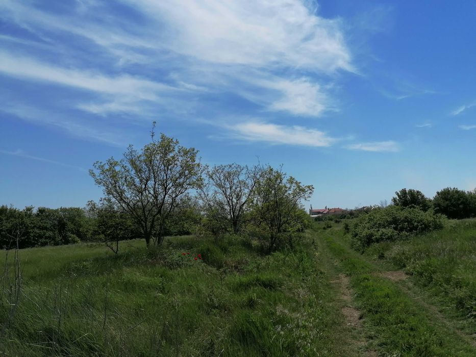 Парцел дворно място община Шабла, село Тюленово