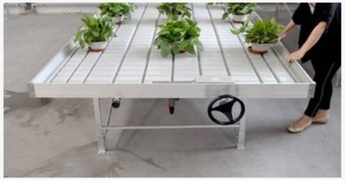 Столы рассады в теплицу