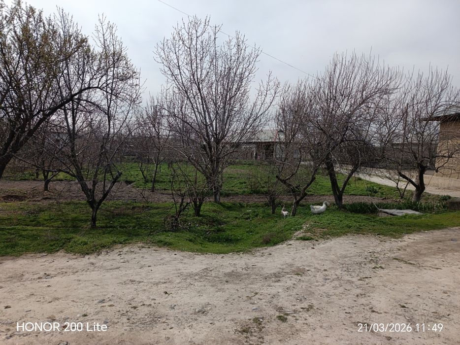 Ховли сотилади 26 сотих