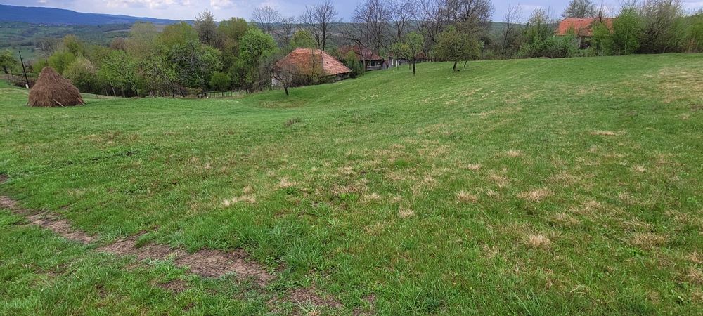 Casa batraneasca și teren