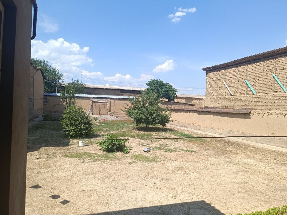 Nazarbek Tarnov 8 sotik 1 sotigi 17000$ kelishamiz tepasida