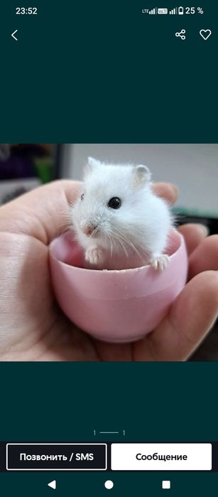 Холодильник Байдибек би Маловодное