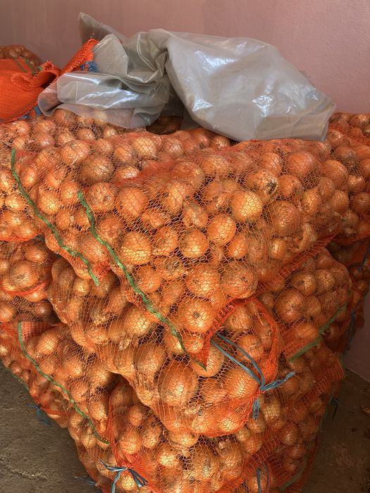 Ceapă de vânzare 1.5 lei
