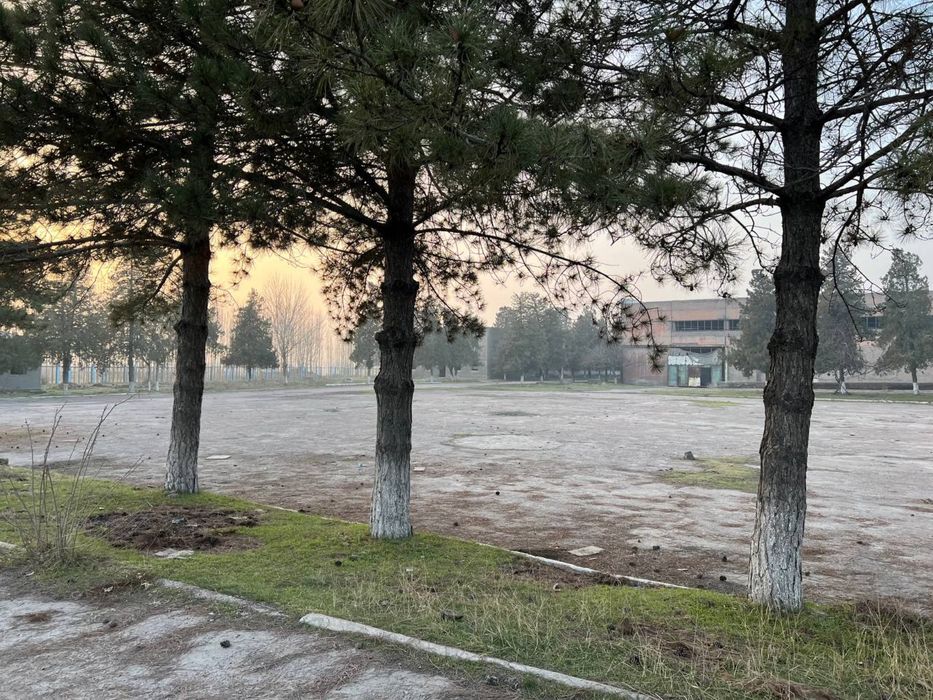 Продается Земля Ахангаран Шоссе Битонка 1 Линия 11 Гектар Для Бизнеса