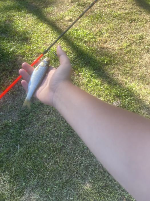 Въдица за спининиг риболов Fil fishing Neon UL 180см 0,5 до 5 грама