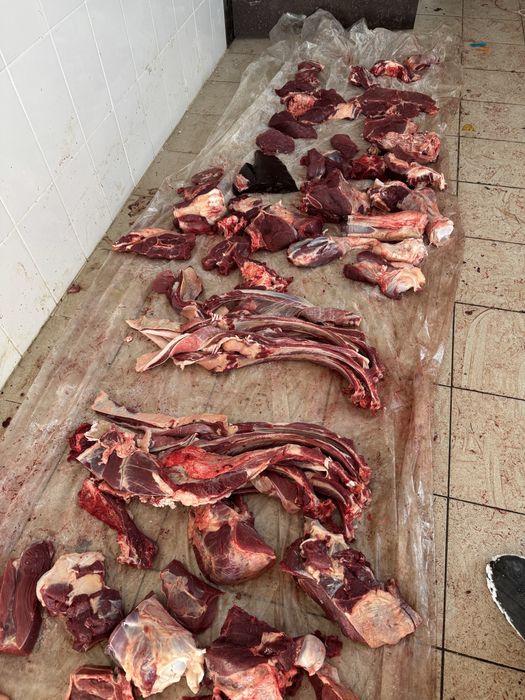 Жарты согым сатылады