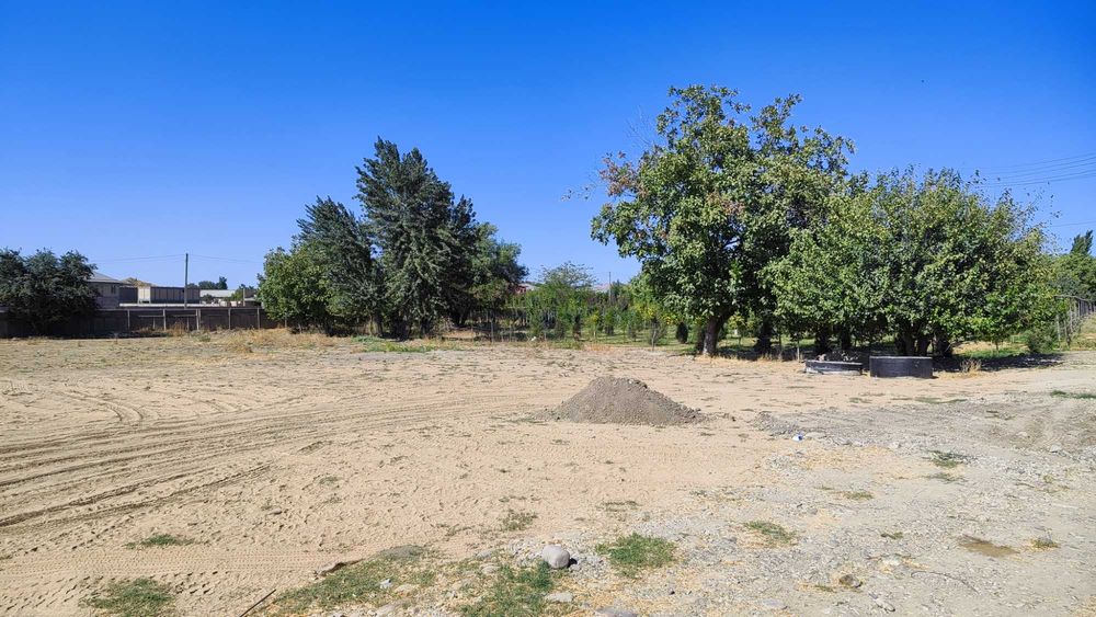 Земля 10 соток, Алишерабад