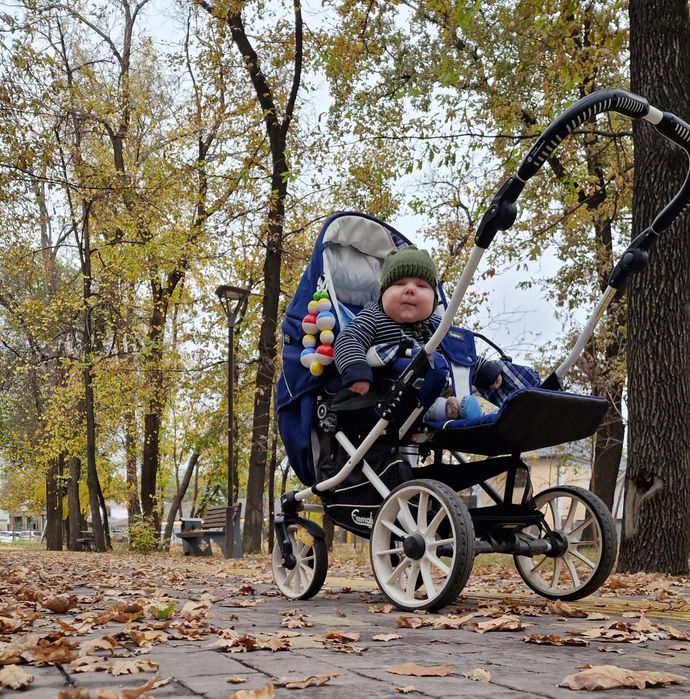 Универсальная коляска Emmaljunga