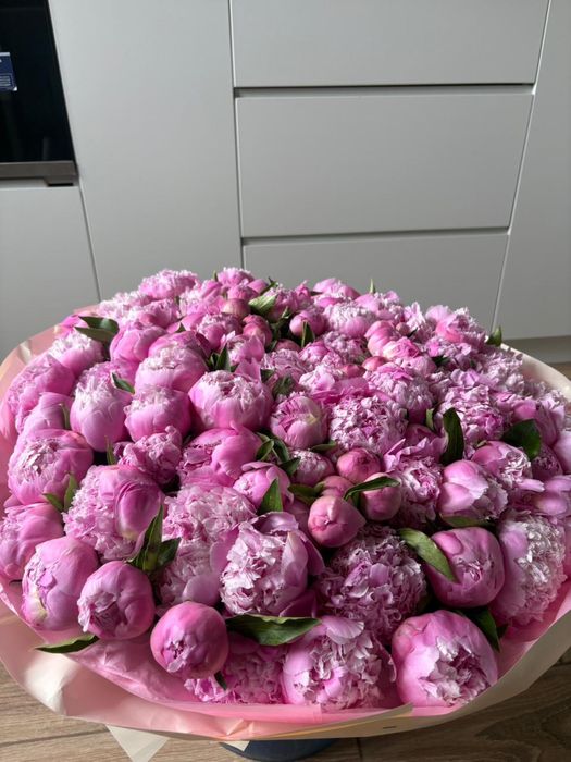 Пионы 101 штук, свежие