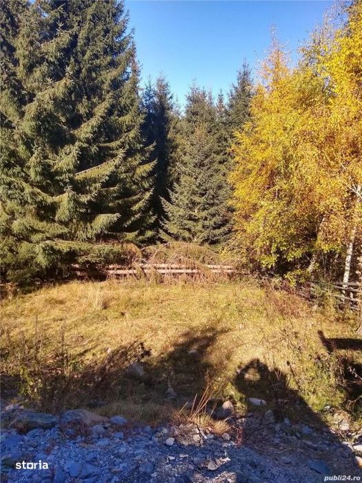 Teren intravilan Muntele Baisorii | Drum asfaltat | Utilitati