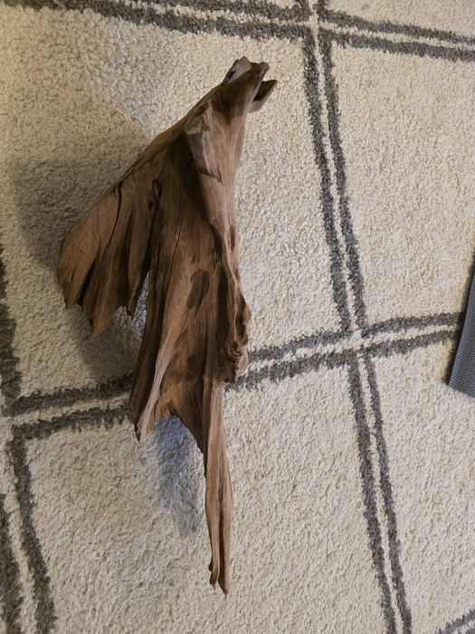 Decor acvariu , terrariu