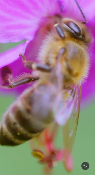 7artisans 60mm f/2.8 II Macro sony E