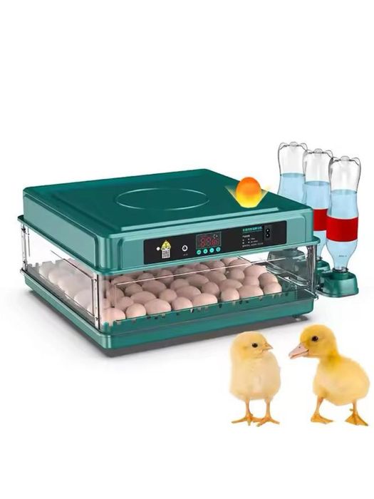 Inkubator 70talik avto aylantirish. Yetkazib berish bepul