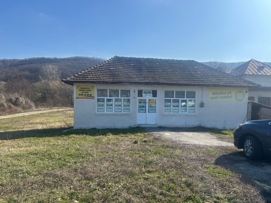 Spatiu comercial in com Licurici Sat Negreni