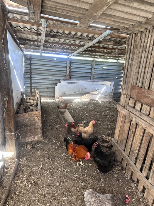 Продам  5 комнатный дом