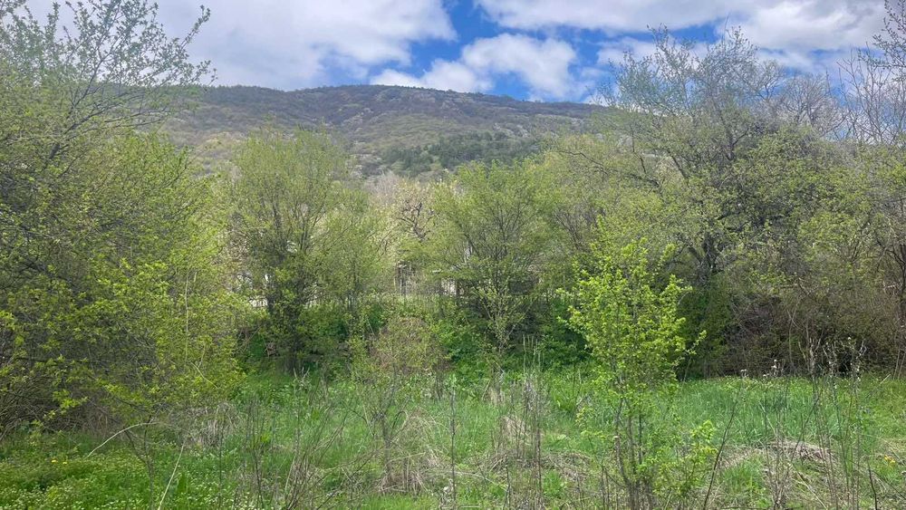 Продава се Земеделски имот в Карлово -  кв.м за 10 €/дка - Снимка #3