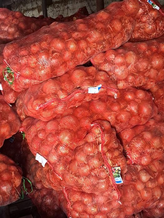 Лук продается мешками