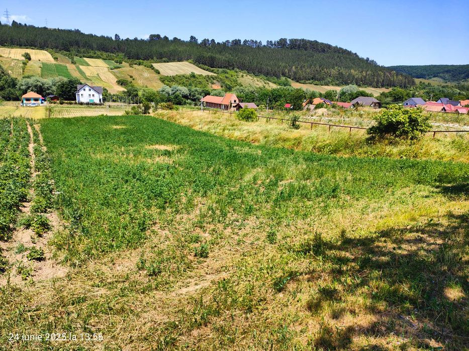 Teren de vanzare la Savadisla