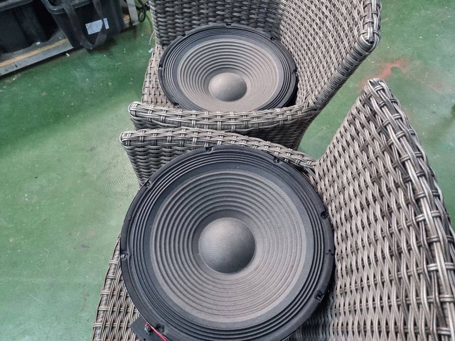 Set difuzoare 38 cm pentru boxe profi