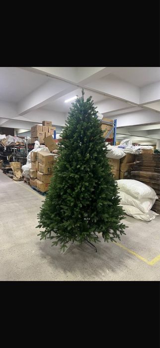 Шырша (елка) сатамын.