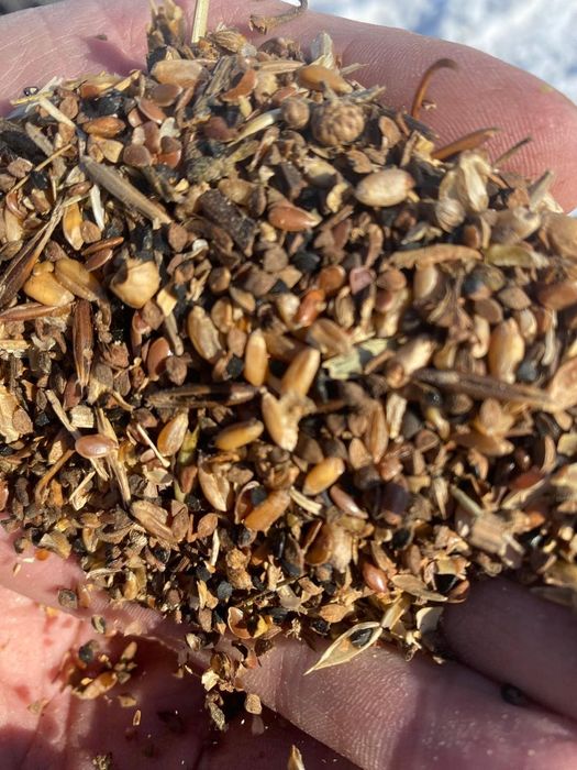 Продам зерноотходы по 2000