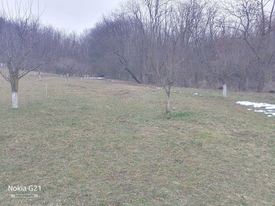 Casă Valea Stanii + teren intravilan