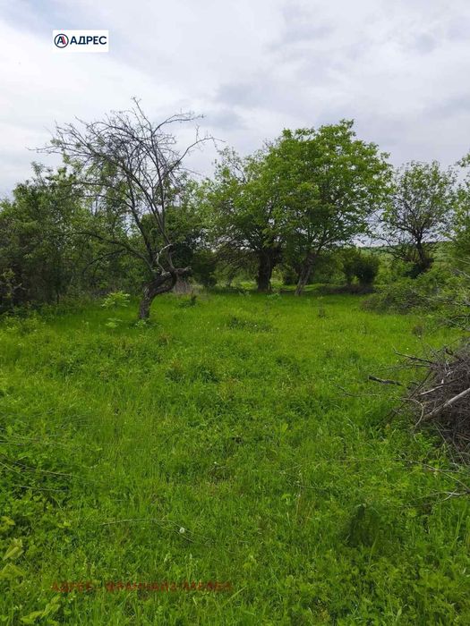 Парцел в Враца, област-с.Баница площ 3000 цена 20452