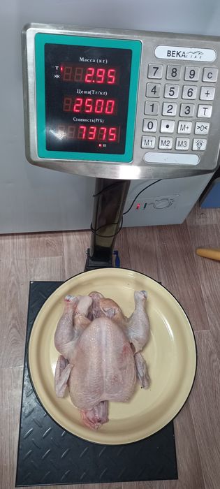 Мясо бройлера домашнее