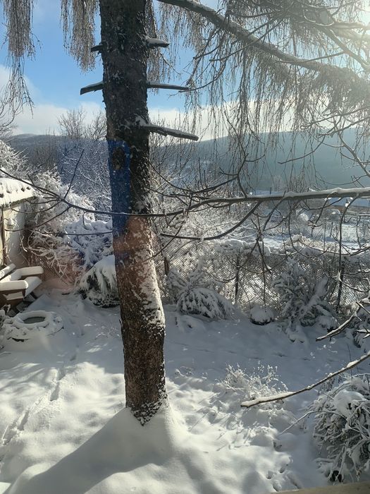 Продава се Къща в Ловеч, Червен бряг - 60 кв.м за 238 €/кв.м - Снимка #23