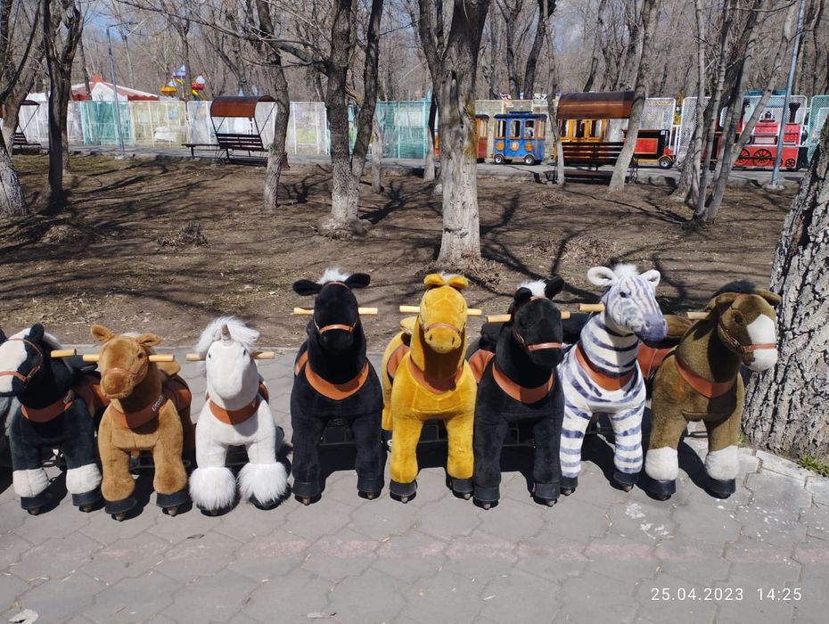 Продам понициклы и зоомобили