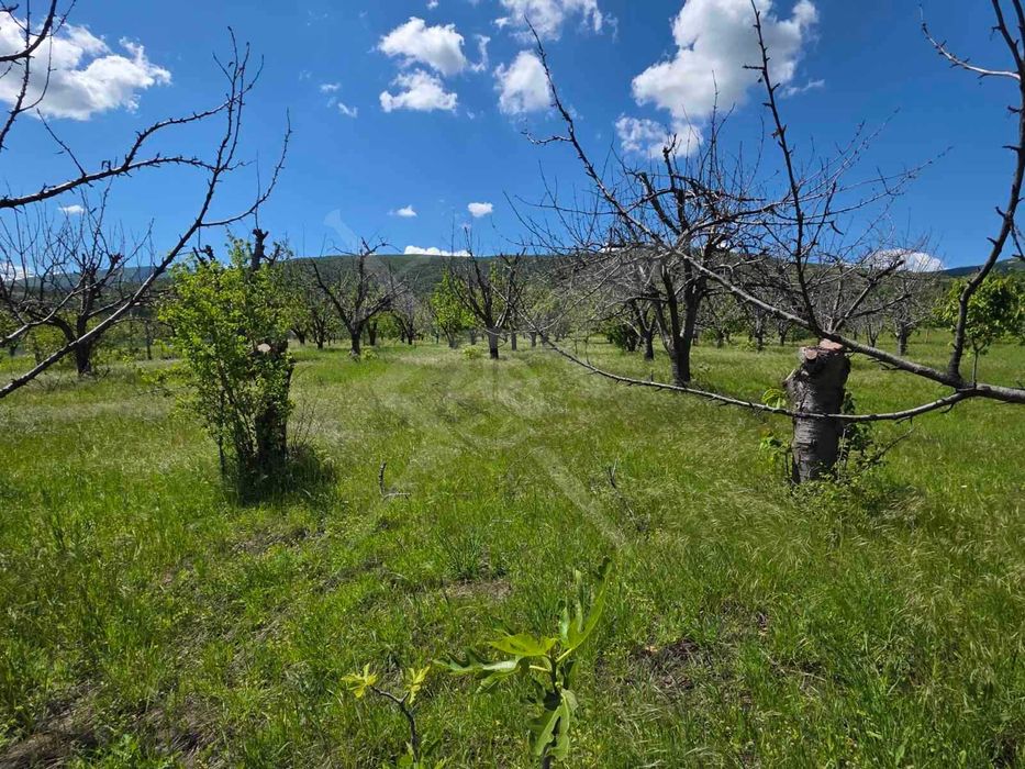 Продава се Парцел в с. Брестник, Област Пловдив - 1125 кв.м за 56 €/кв.м - Снимка #1