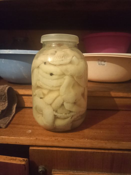 грибы грузди продам