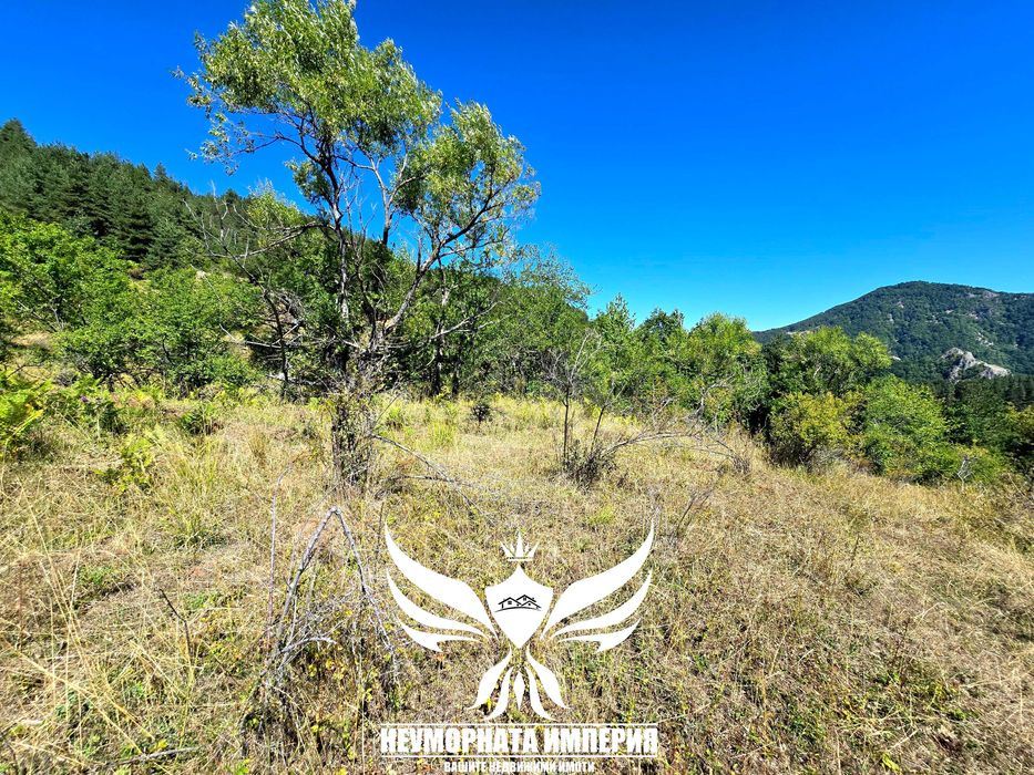 Продава се Парцел в с. Борово, Област Пловдив - 8188 кв.м за 10 €/кв.м - Снимка #16