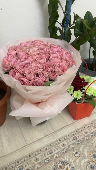 51 штук роза цветы