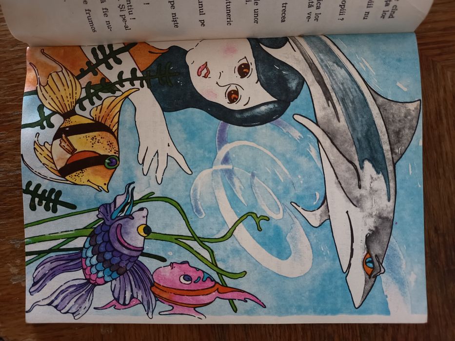 Când adoarme o buburuza