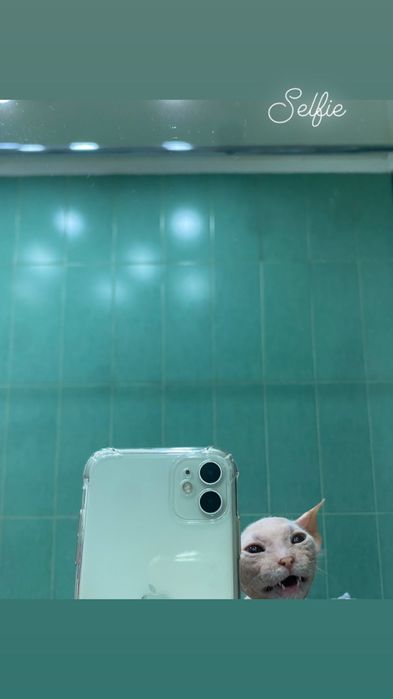 iPhone 11 white 128gb