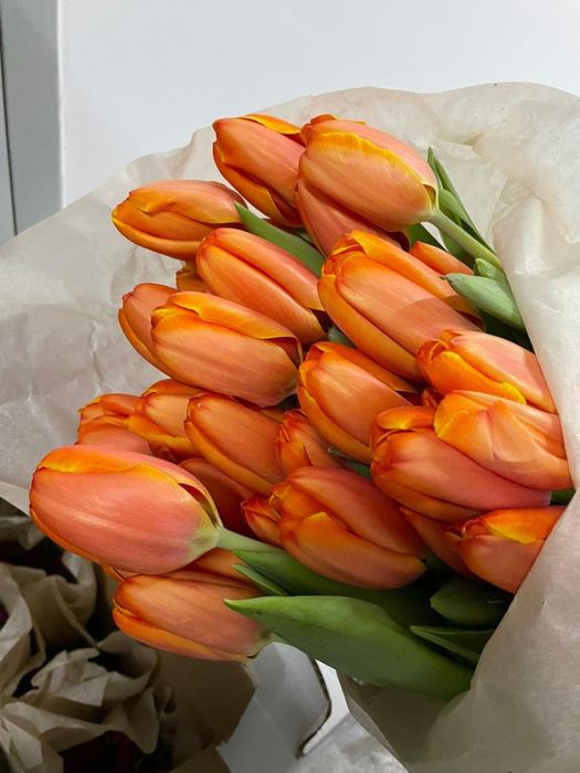 Тюльпаны от ип корпаративные