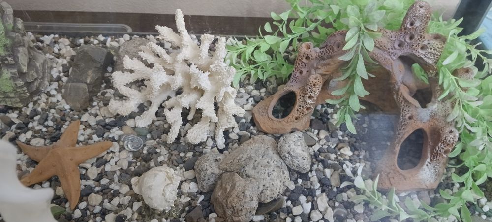 Продам аквариум 250 л.