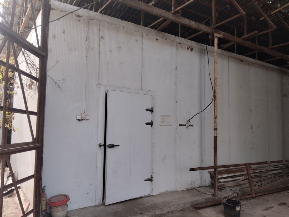 Музлатгич Тошкентда