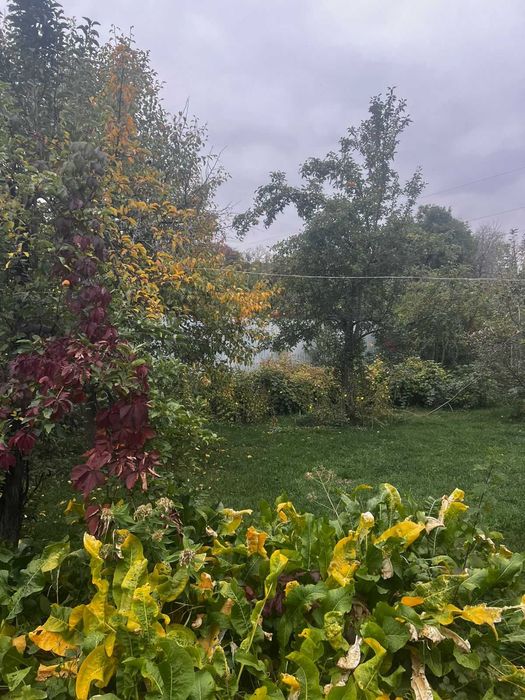 Продам дачу в ПК СТ Энергетик