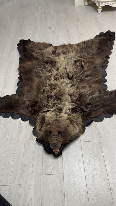 Продам обработанную шкурку медведя!