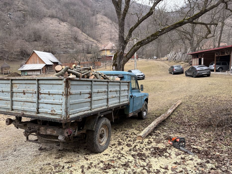 Aro camineta de vanzare