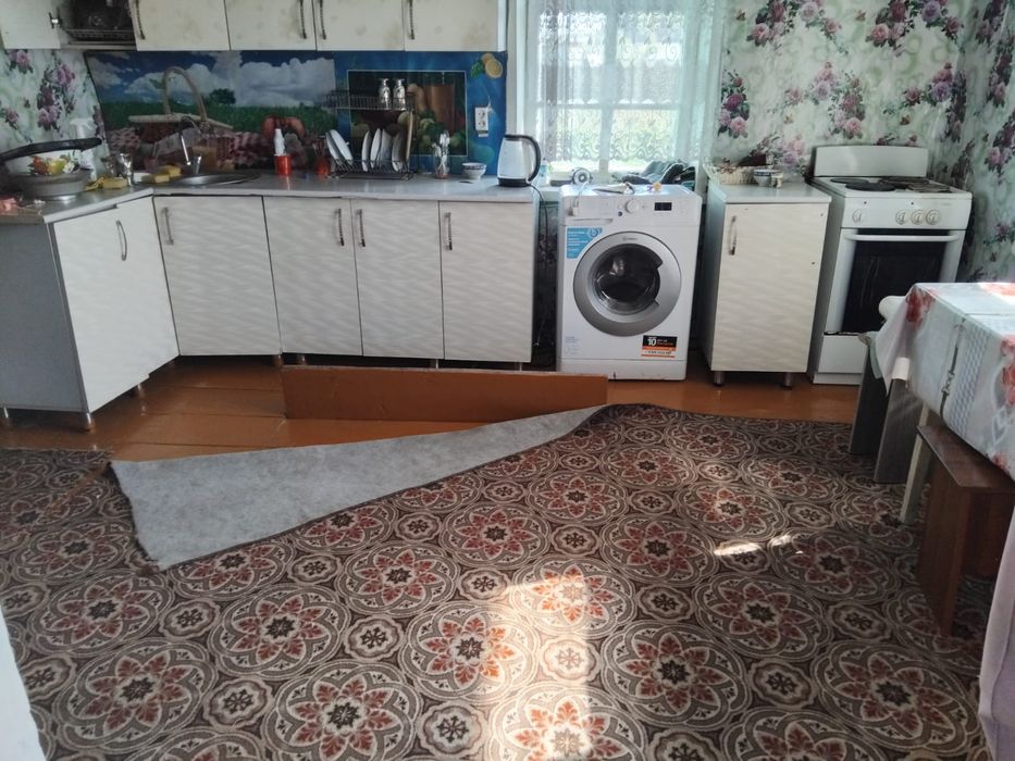 Продам дом в селе быструха