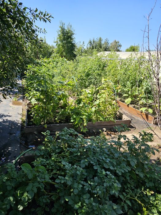 Продам ДАЧУ (Федоровка)