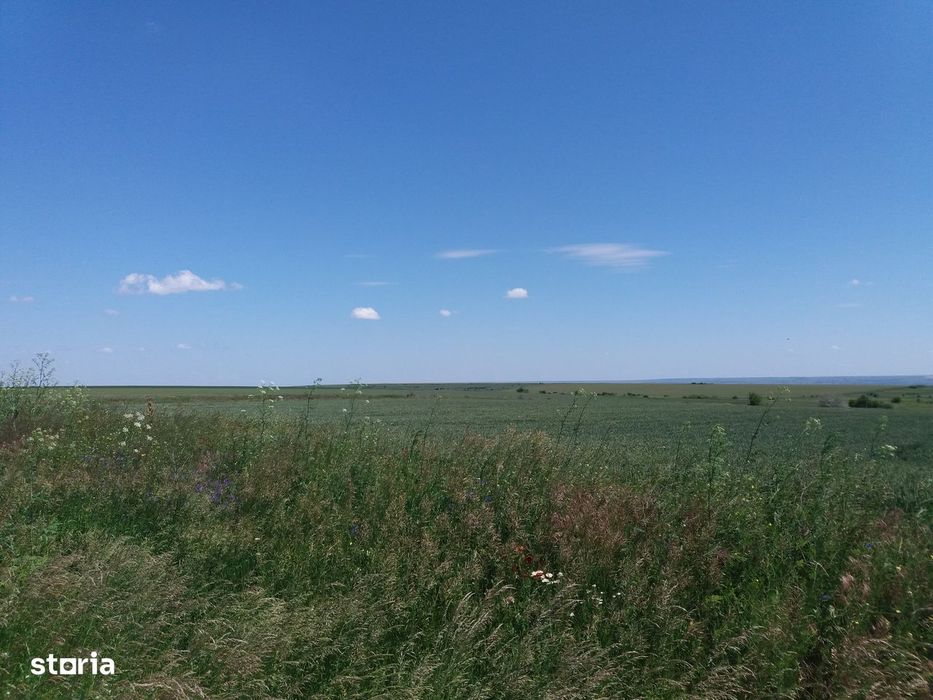 Vand teren agricol Tulucesti
