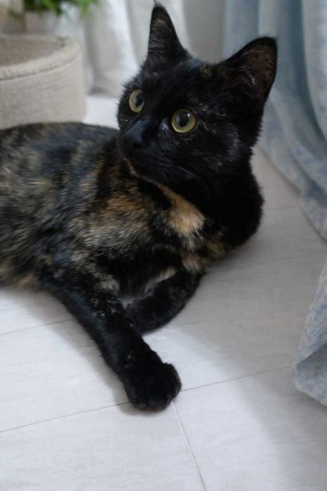 В самые ответственные руки