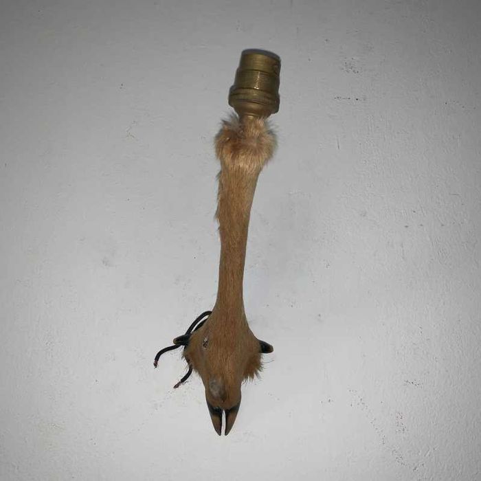 Set aplica de perete din copita de gazela